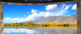 同是4K屏，為什么專業LED廣告機能比電視便宜30%？供應鏈成本大揭秘”