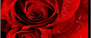 店員瘋狂發傳單，顧客卻頭也不抬？LED廣告機‘強制吸睛’的5個心機設計”