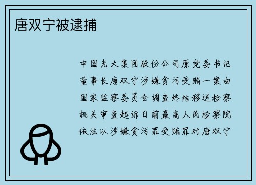 唐双宁被逮捕