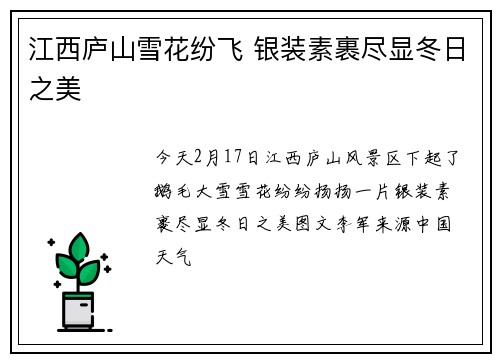 江西庐山雪花纷飞 银装素裹尽显冬日之美